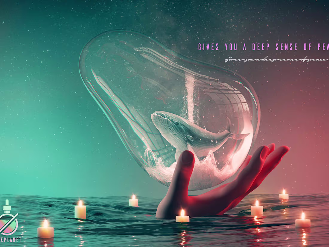 Cover image for Pink Planet | Cor.C