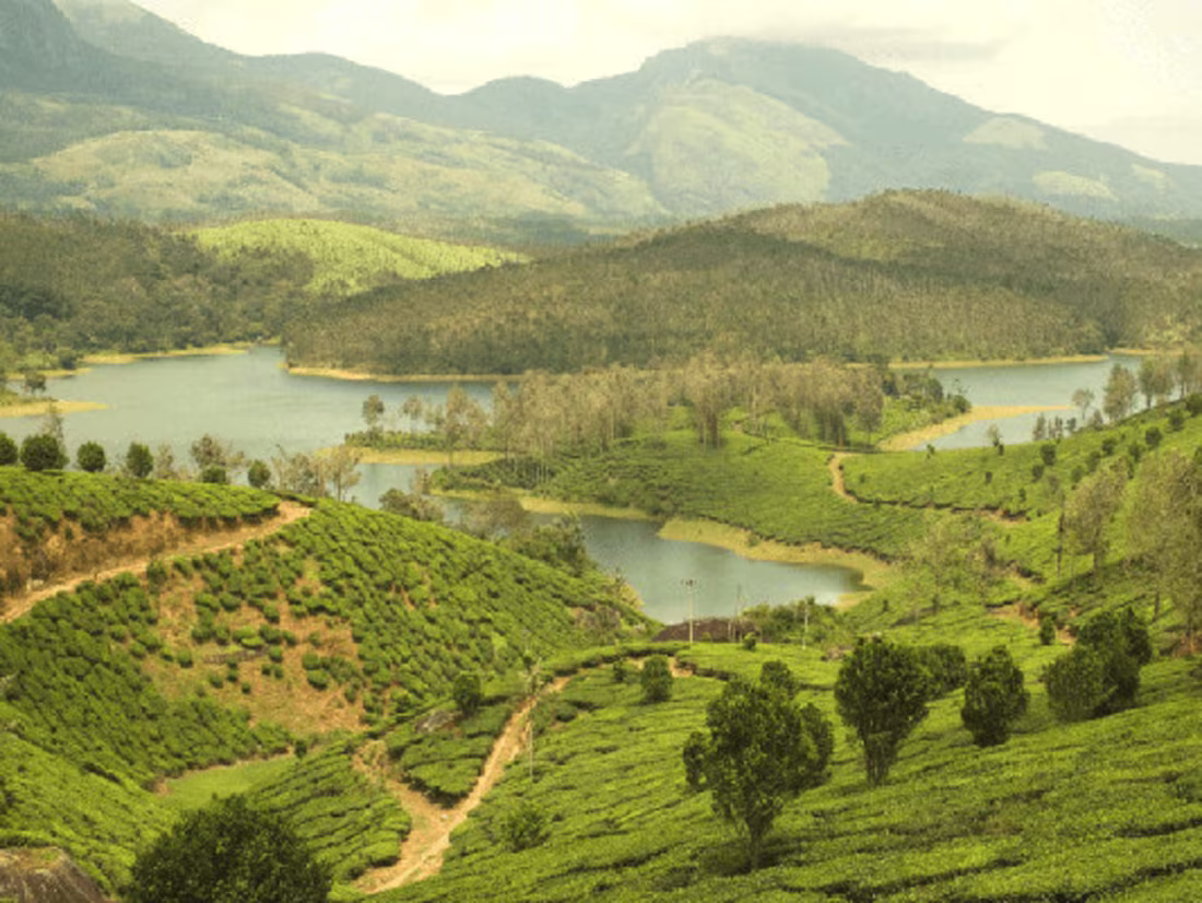 Cover image for Vellore to Yelagiri Cab