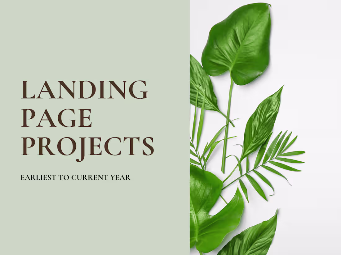 Cover image for Landing Pages