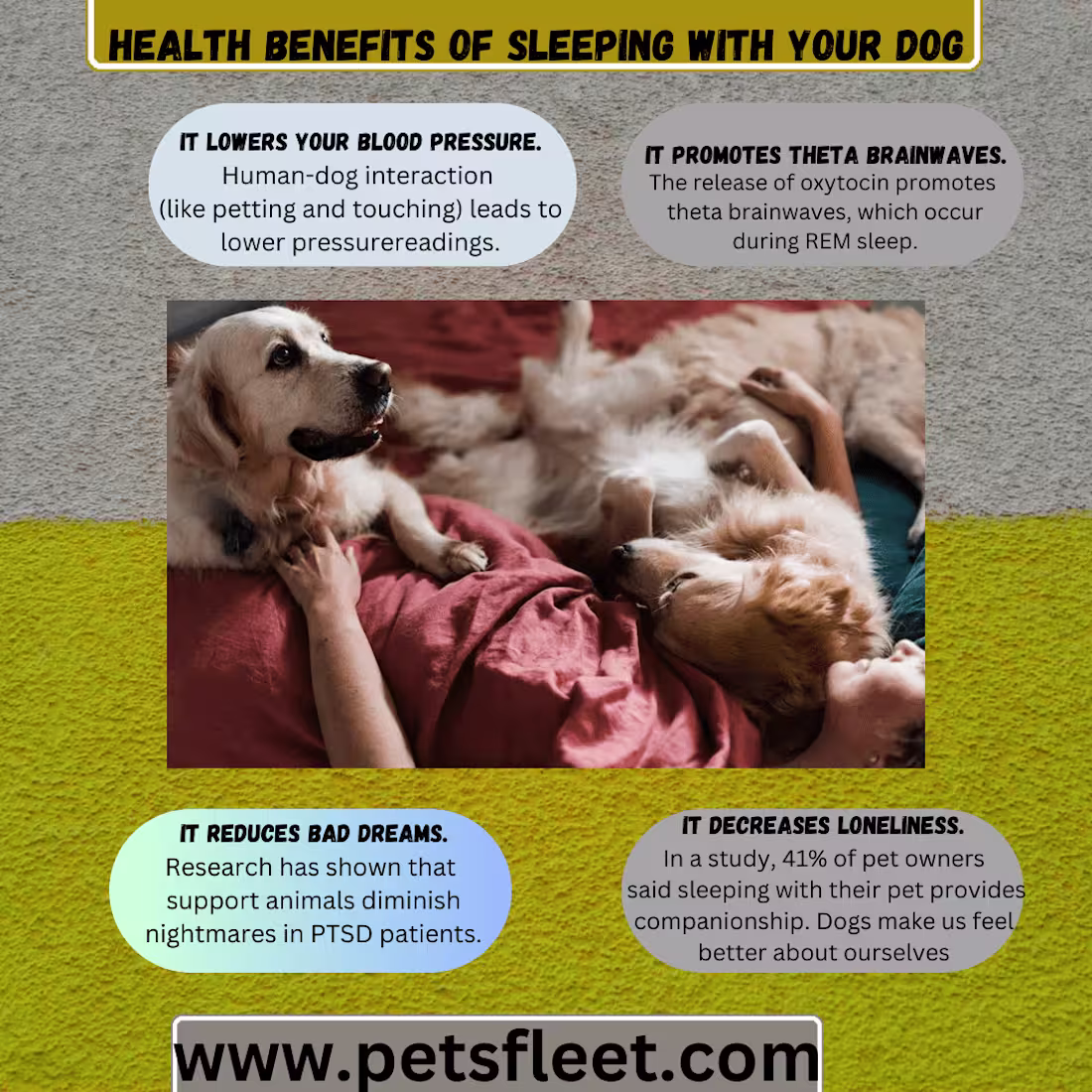 Cover image for professional infographics design 