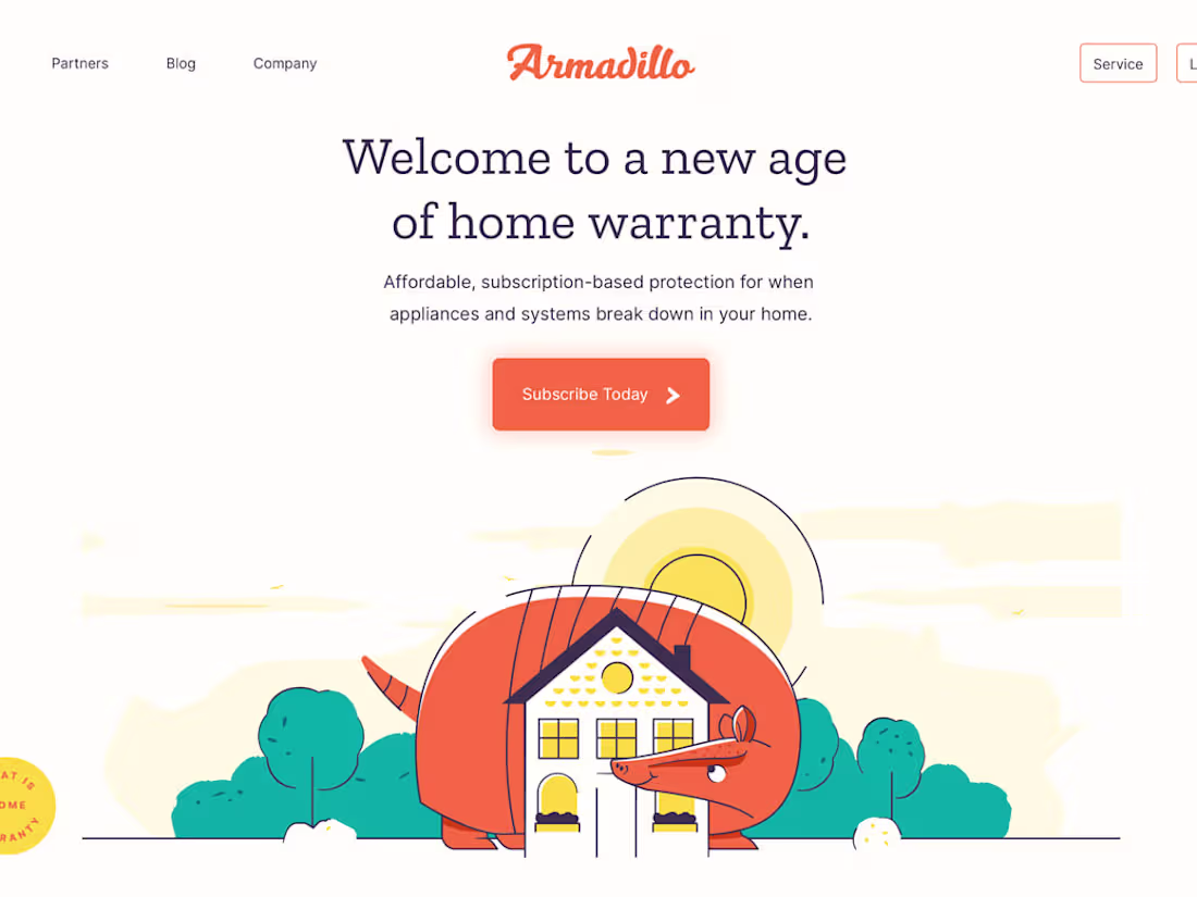 Cover image for Armadillo