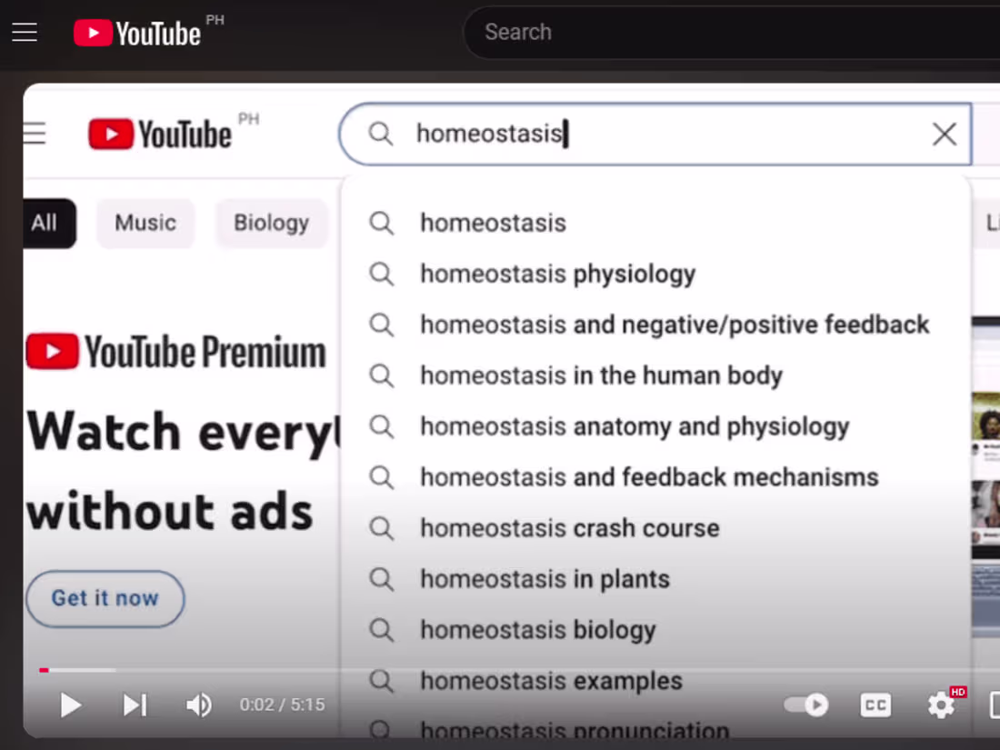 Cover image for Youtube Vlog 