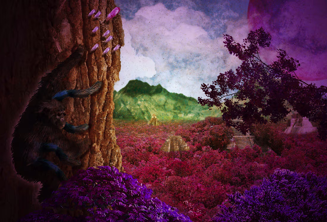 Cover image for Sammy, The Spider Monkey