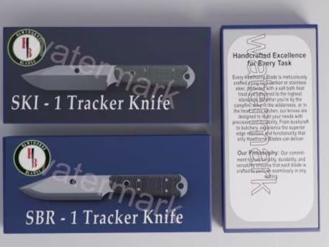 Cover image for Modeled product and packaging