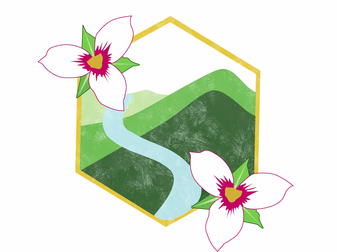 Cover image for Branding package design 