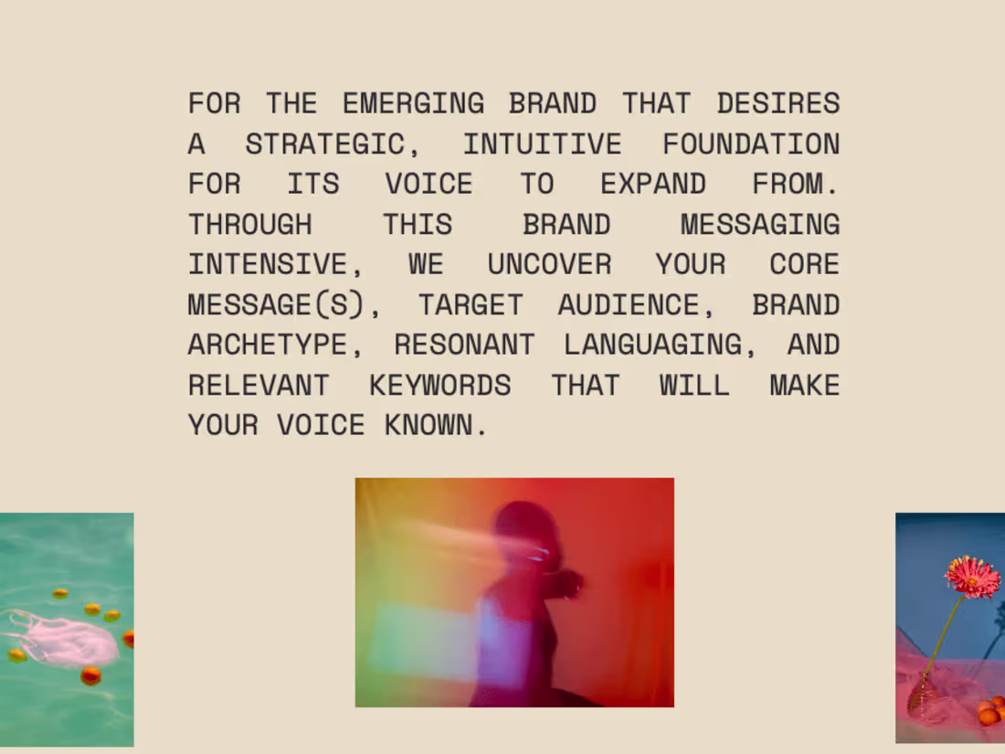 Cover image for Magnetic Brand Messaging for Visionary Brands