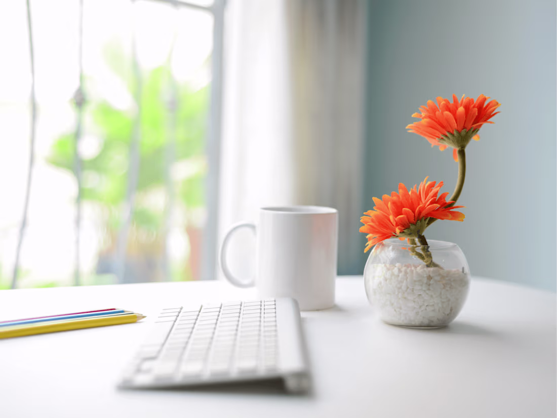 Cover image for Proactive and Seasoned Virtual Assistant - 15 Years Experience