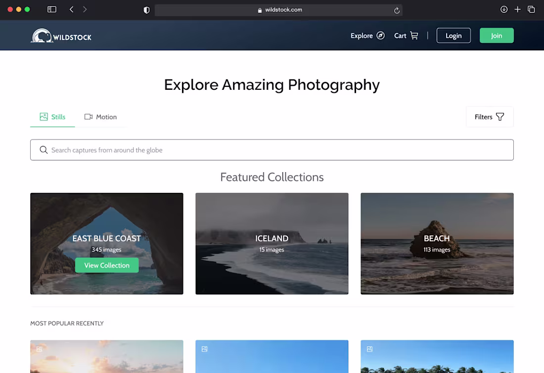 Cover image for Wildstock