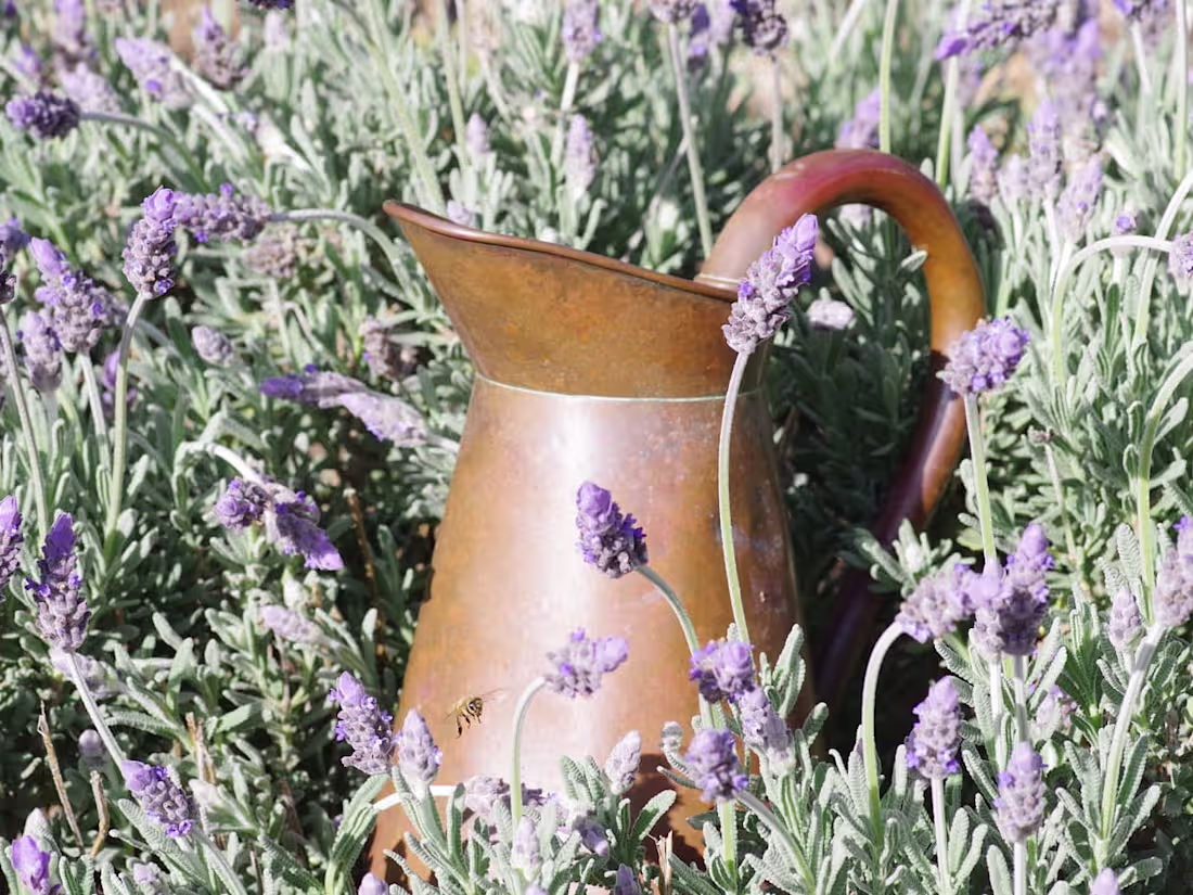 Cover image for How to Put Yourself First: Thoughts From a Reformed People Plea…