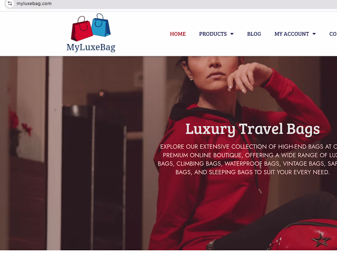 Cover image for Luxury Travel Bags