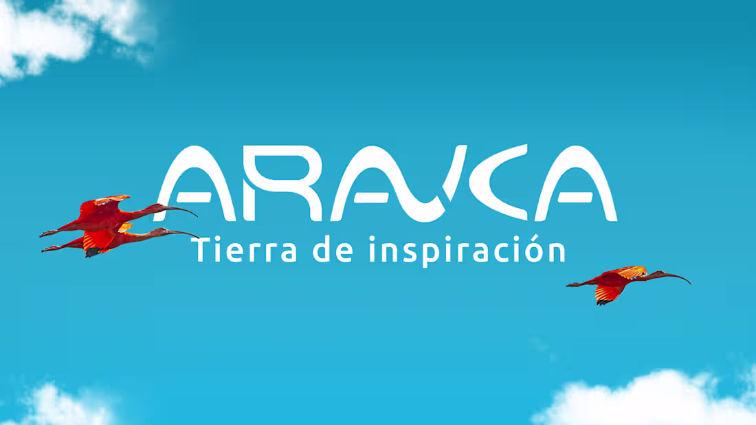 Cover image for Arauca City Brand Land of inspiration 