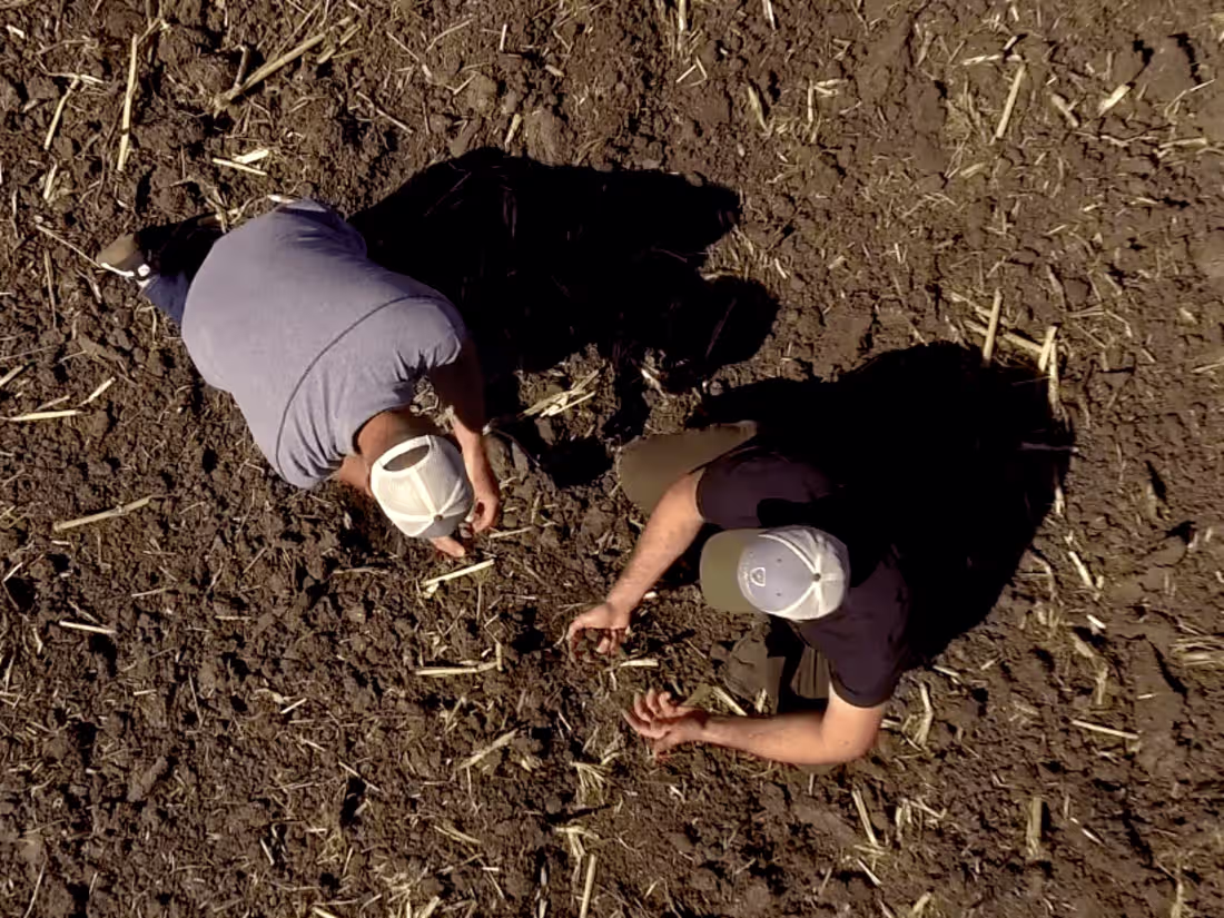 Cover image for CROP ARMOR