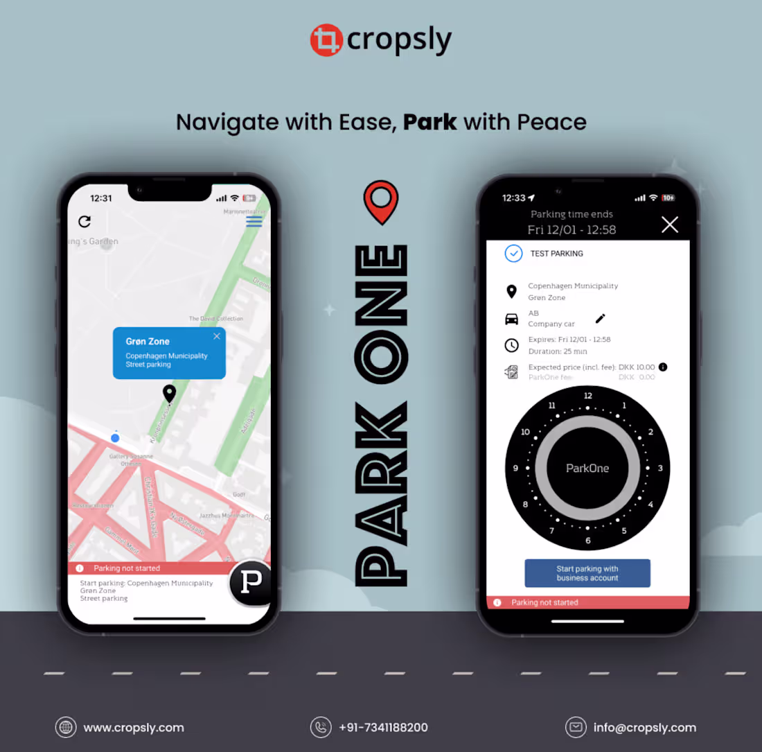 Cover image for ParkOne: A Danish success story