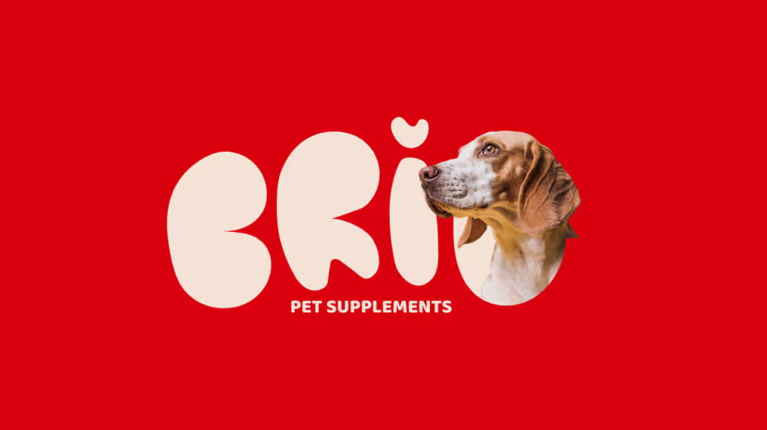 Cover image for Branding for Pet Supplement -