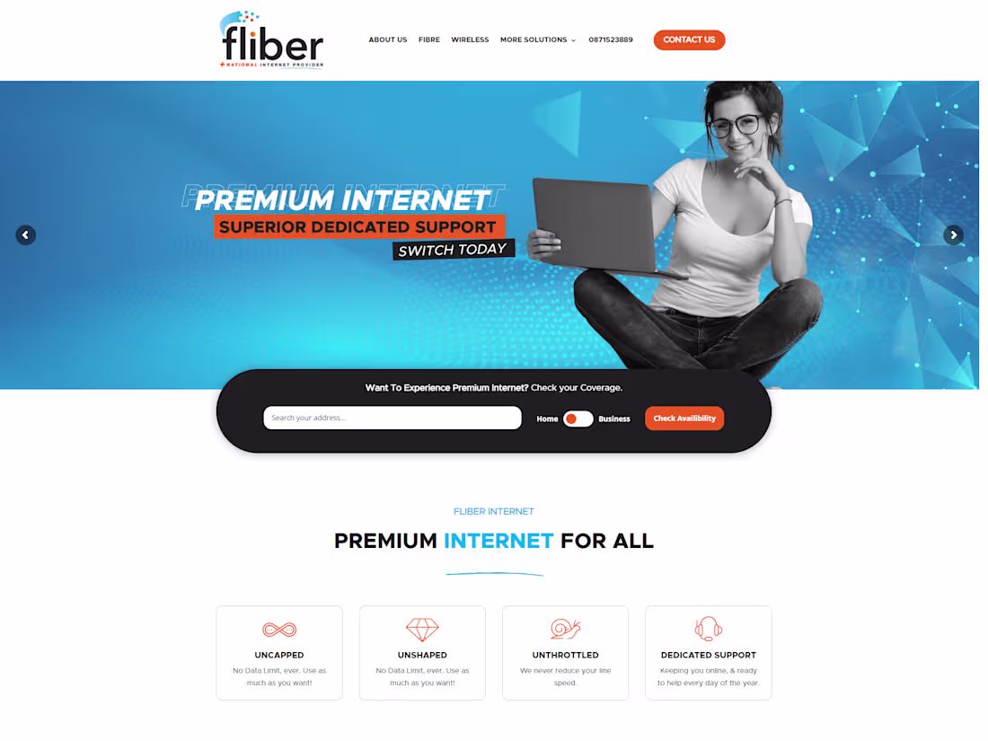 Cover image for Fliber