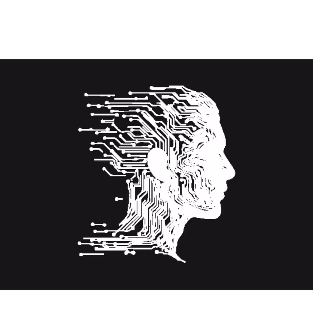 Cover image for Stunning Portfolio Websites With GSAP Animations🚀