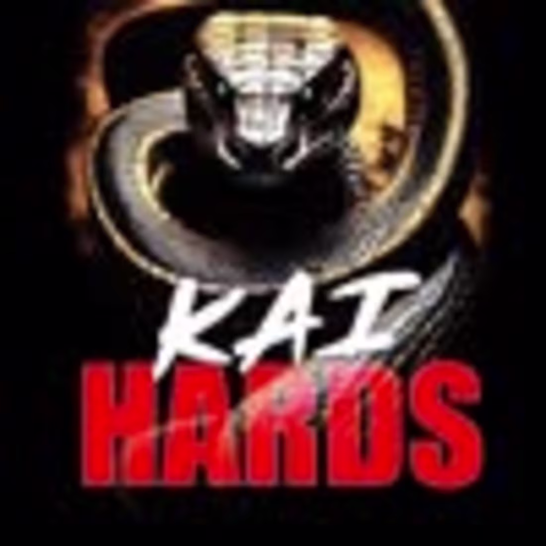 Cover image for Videographer/camera operator for Kai Hards documentary