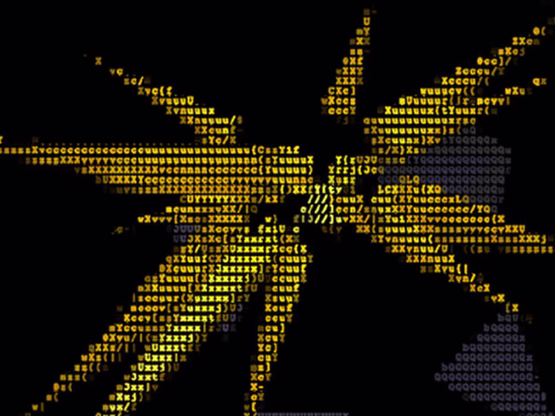 Cover image for Codeology