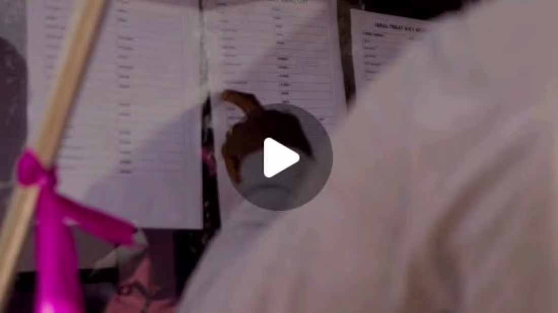 Cover image for Grand Opening Videography for Ideal Treat Diet