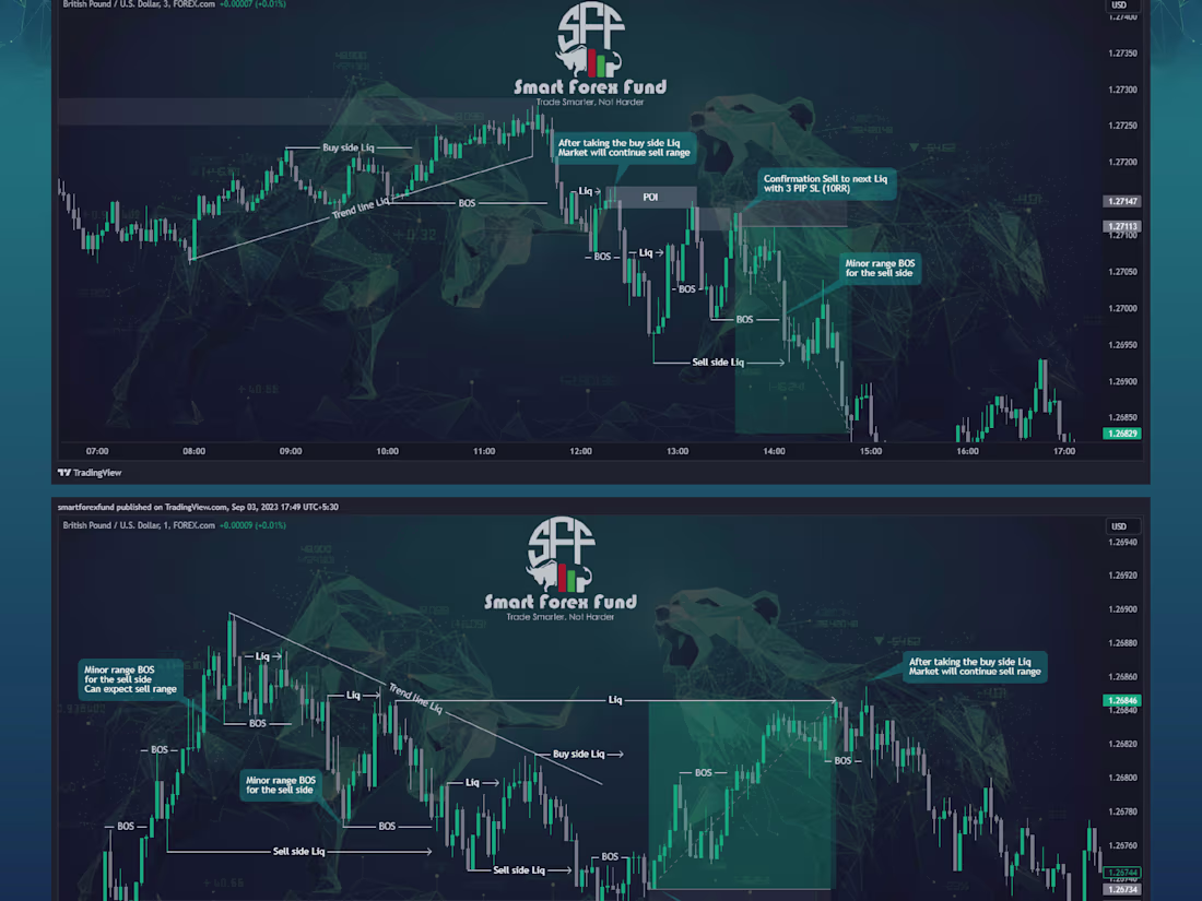 Cover image for Forex Trading Mentorship