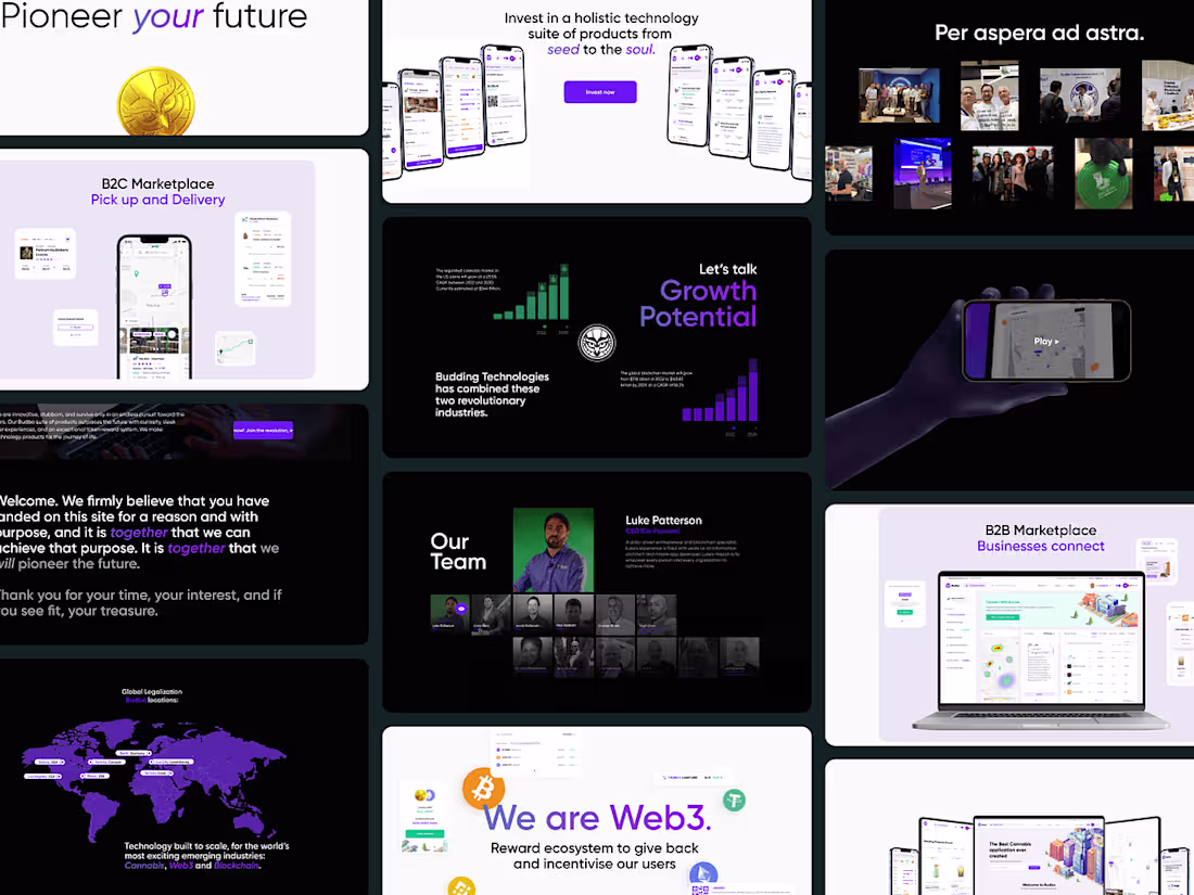 Cover image for Web3, Cannabis, SaaS, B2B, B2C - Interactive Landing Page