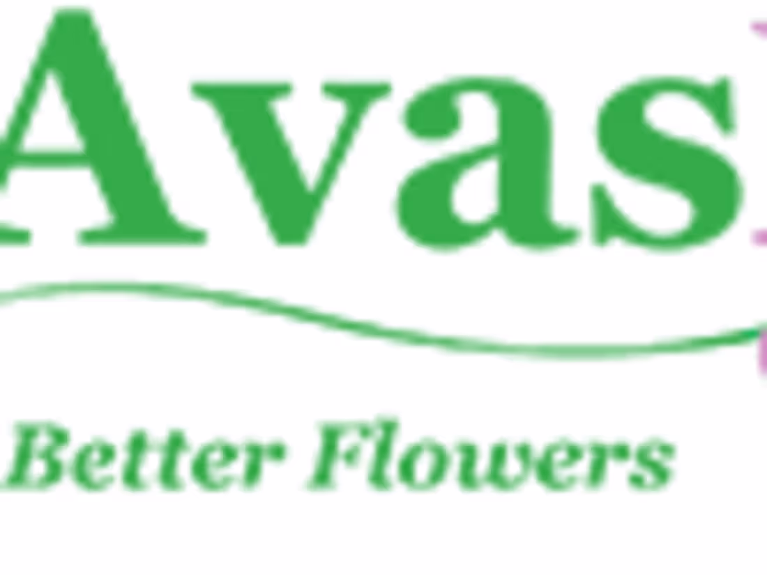 Cover image for Customer Support Specialist