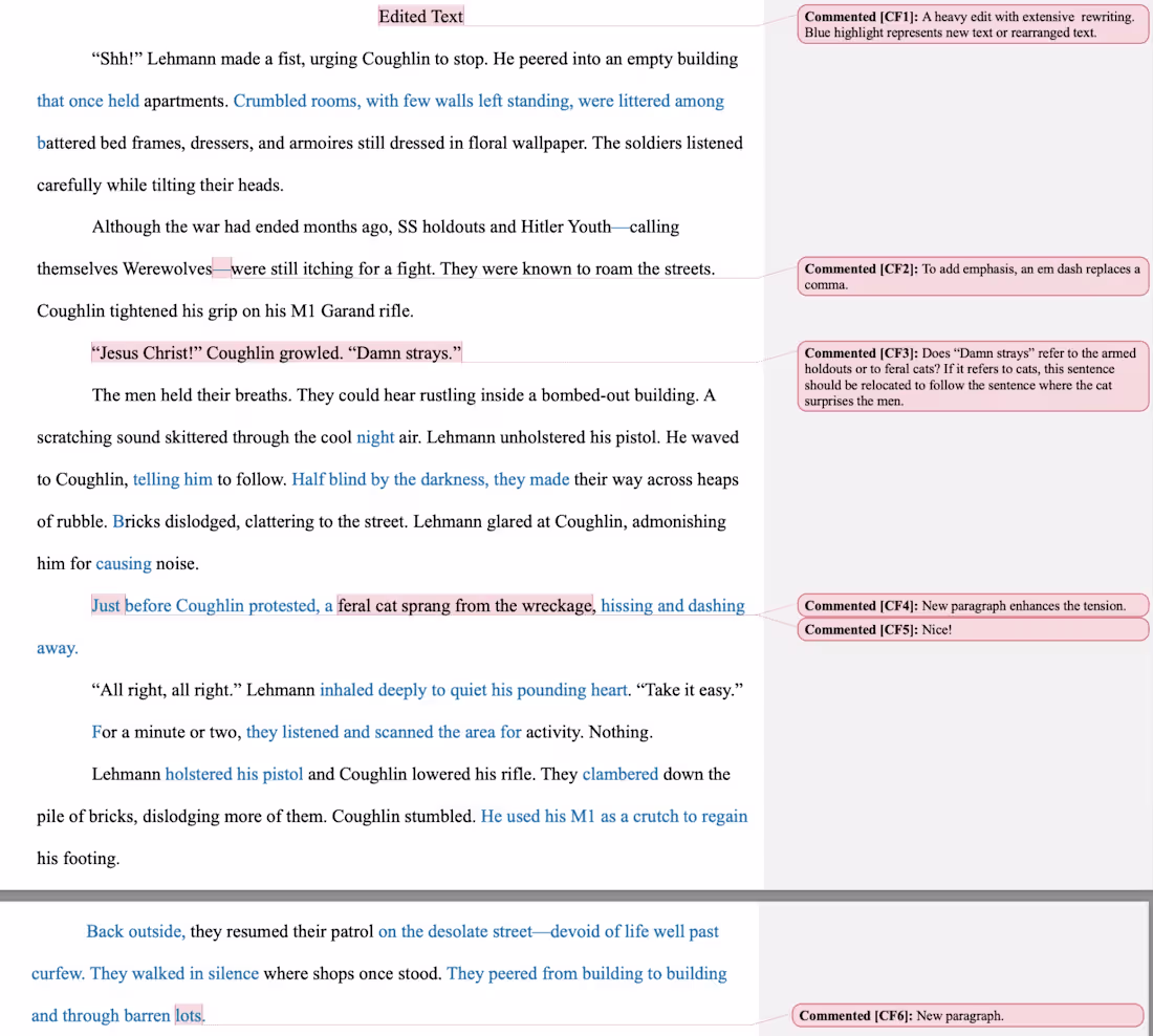 Cover image for Heavy Edit of an Excerpt