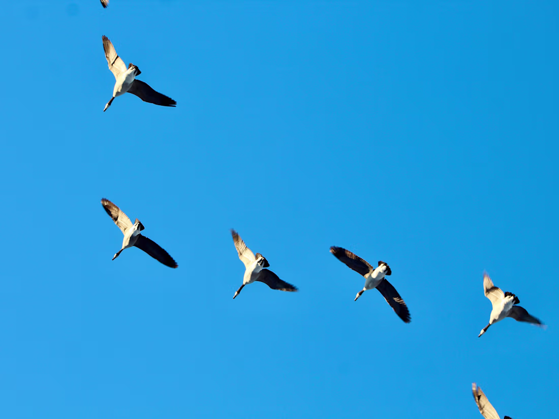 Cover image for Writer: SEO, Technical, Journalism, Marketing, and more