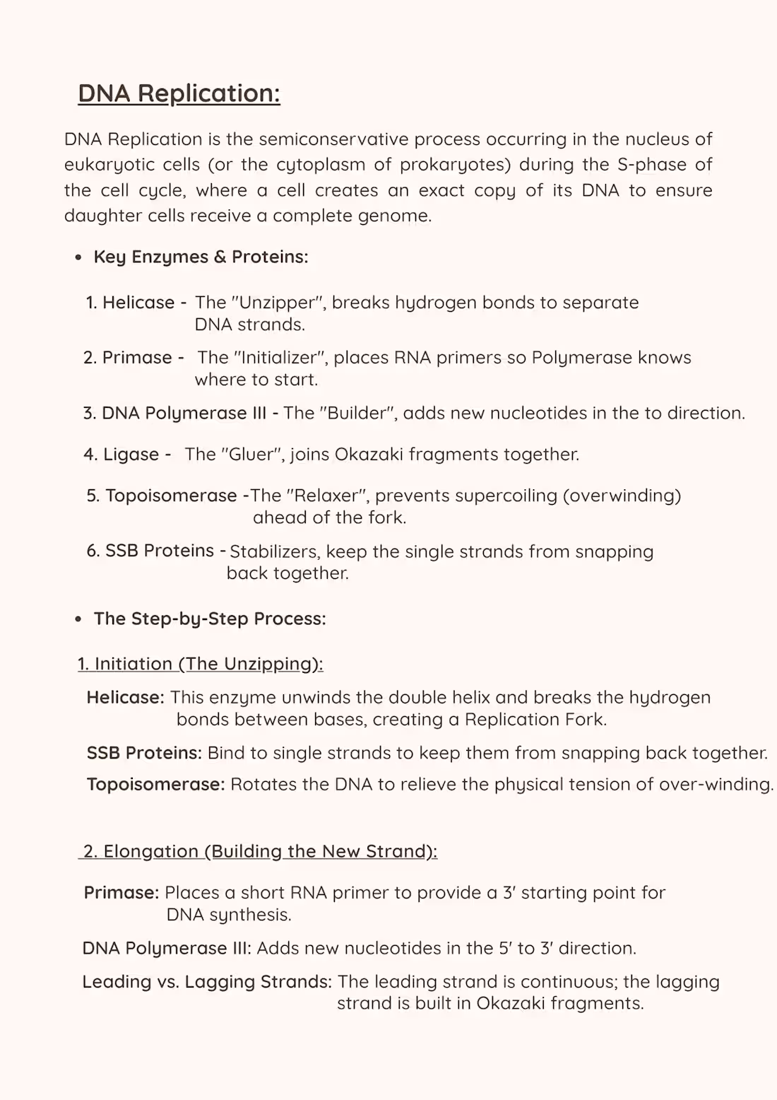 Cover image for lean, easy-to-read Biology notes designed