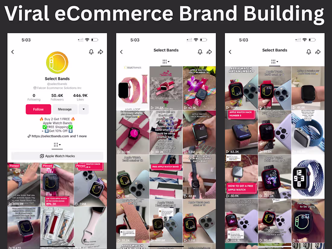 Cover image for Social Media Viral Marketing Strategy for Select Bands