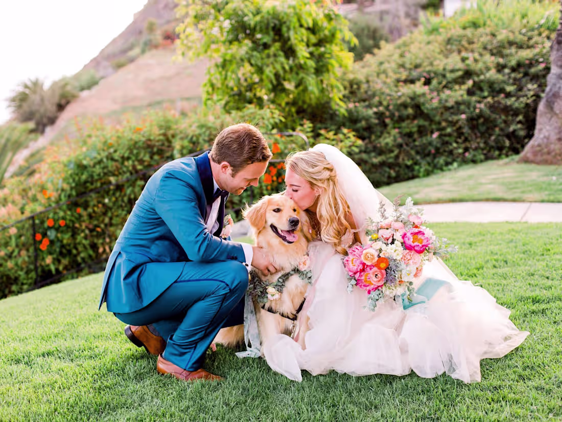 Cover image for Nicole Catherine Photography Website Design & Development