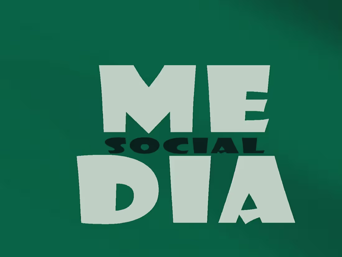 Cover image for SOCIAL MEDIA 