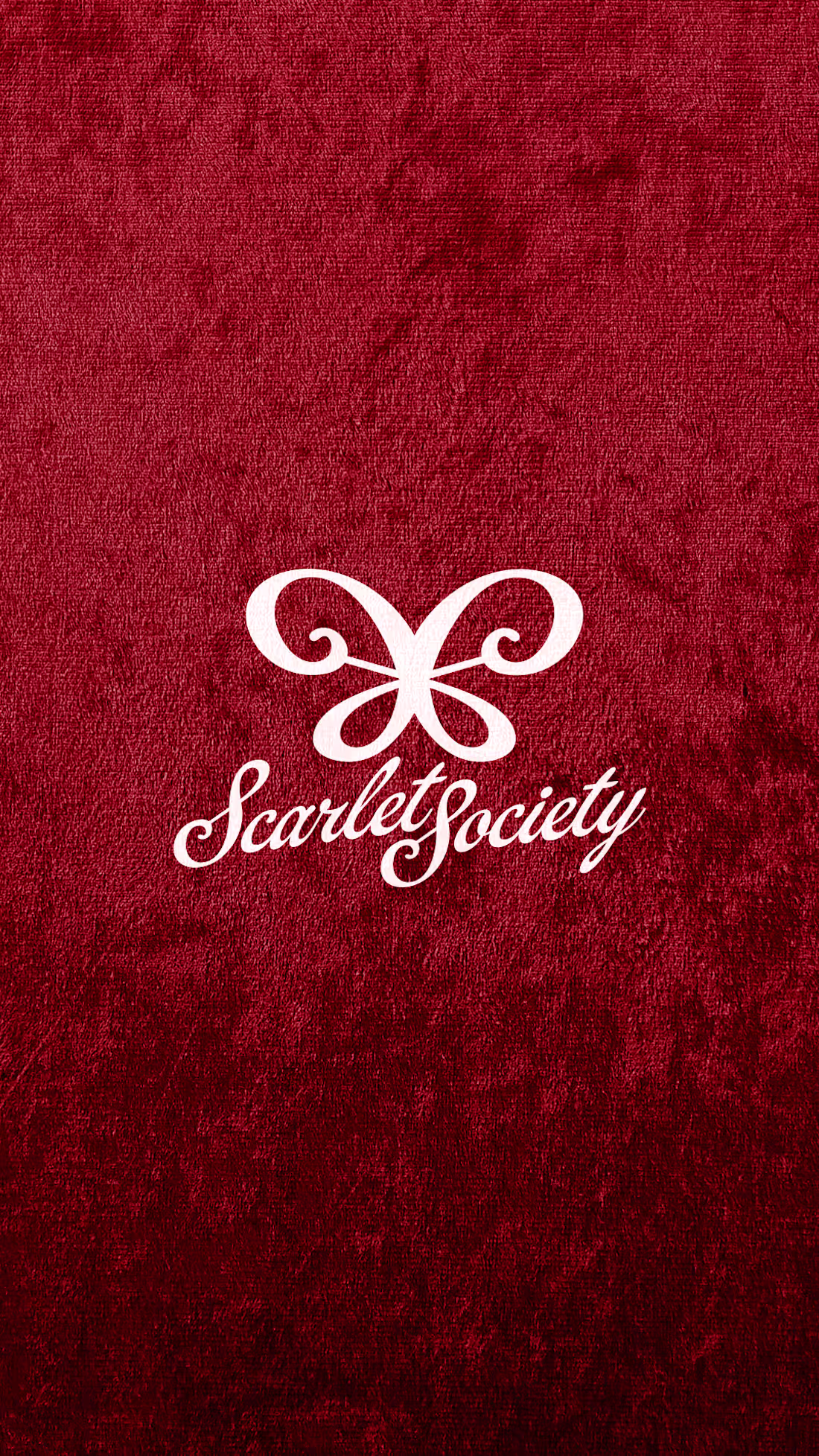 Cover image for Introduction a new branding project