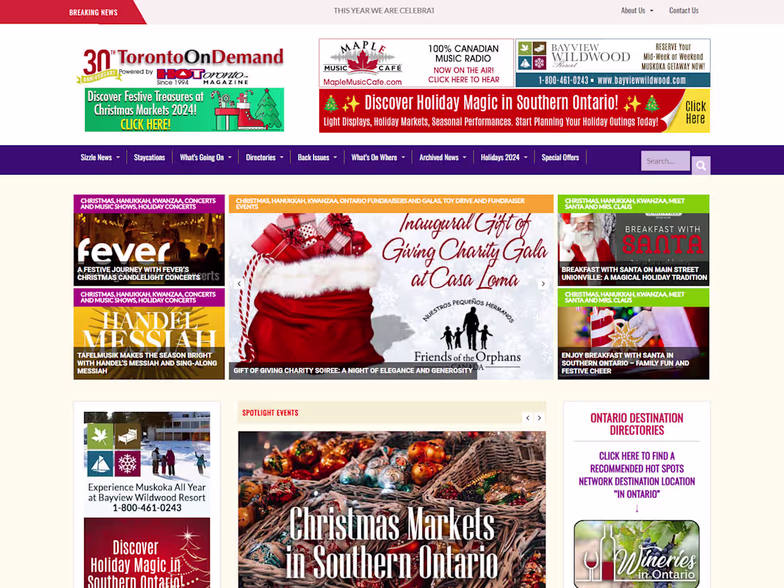 Cover image for Dynamic Entertainment Website