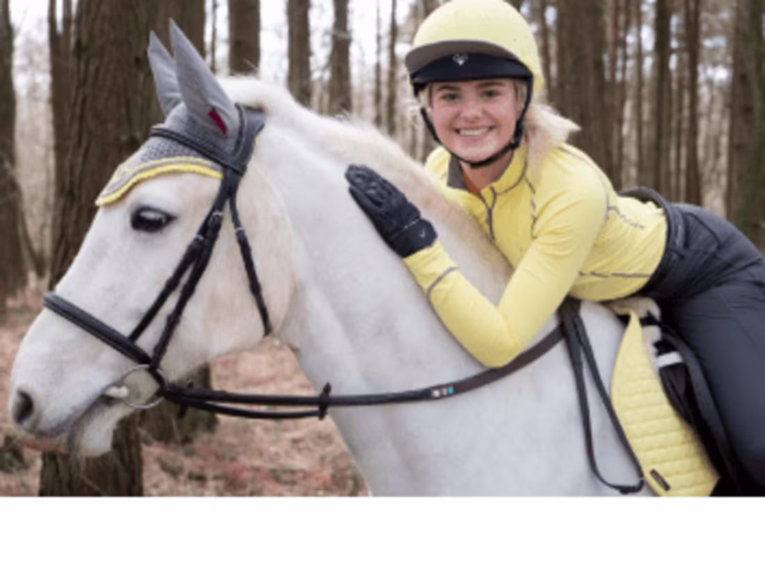 Cover image for Project Links