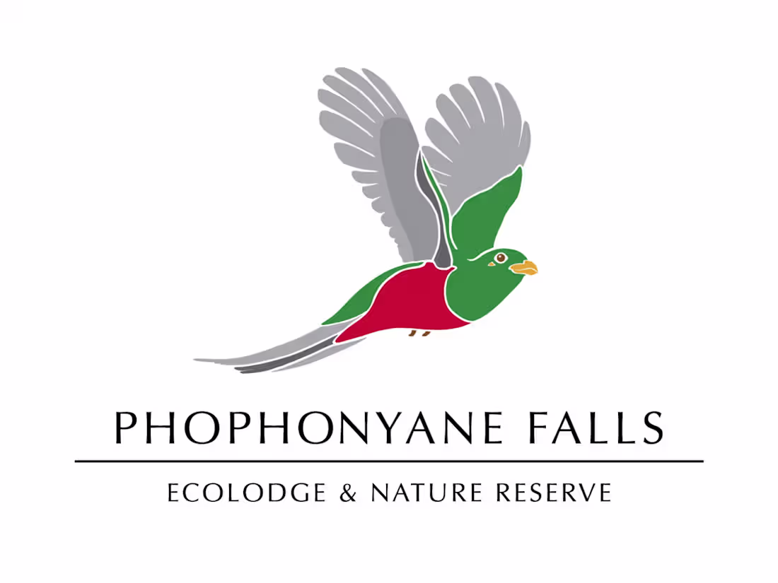 Cover image for Phophonyane Lodge