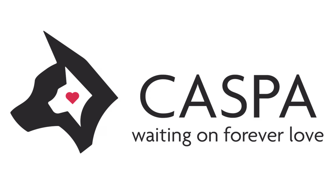 Cover image for Logo Design