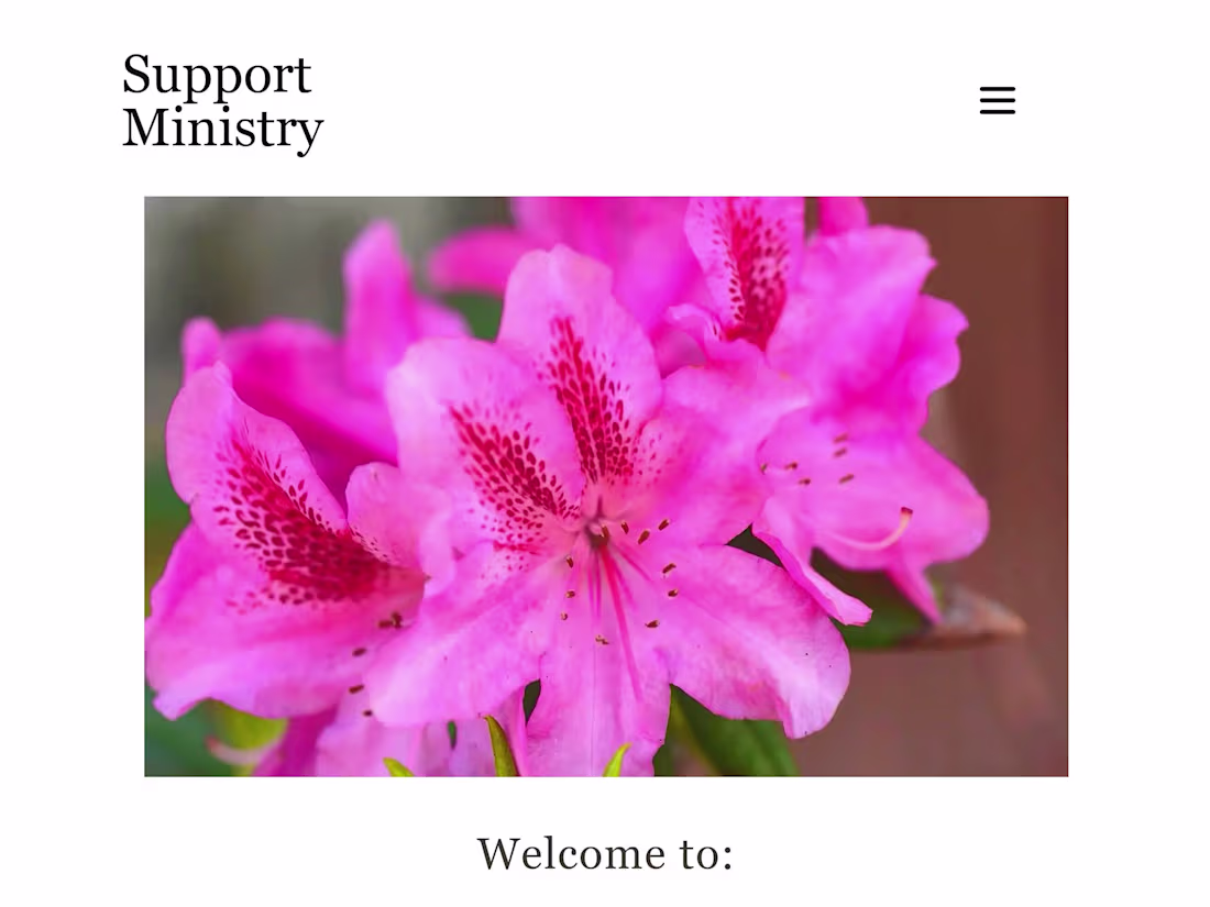 Cover image for Support Ministry