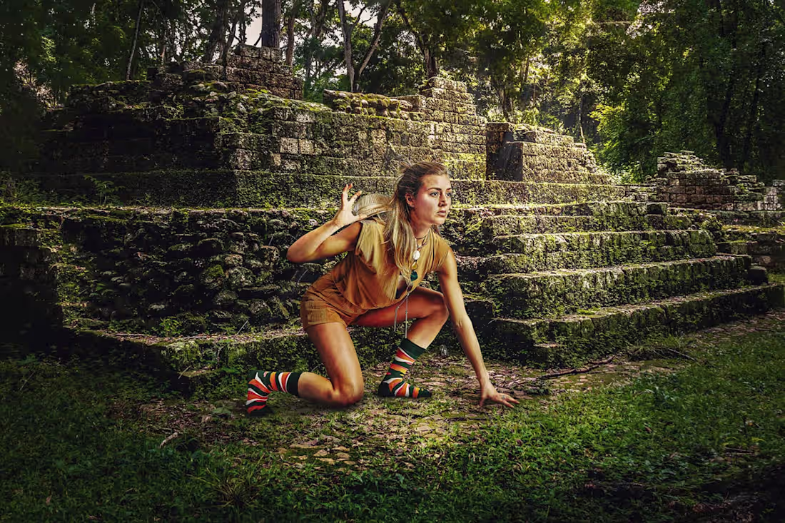 Cover image for How Many Animals?