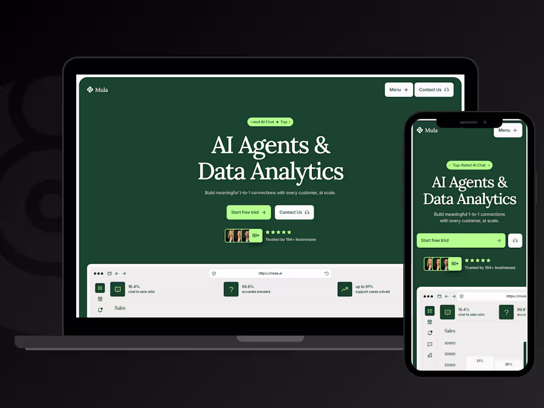 Cover image for Mula Website Design and Development