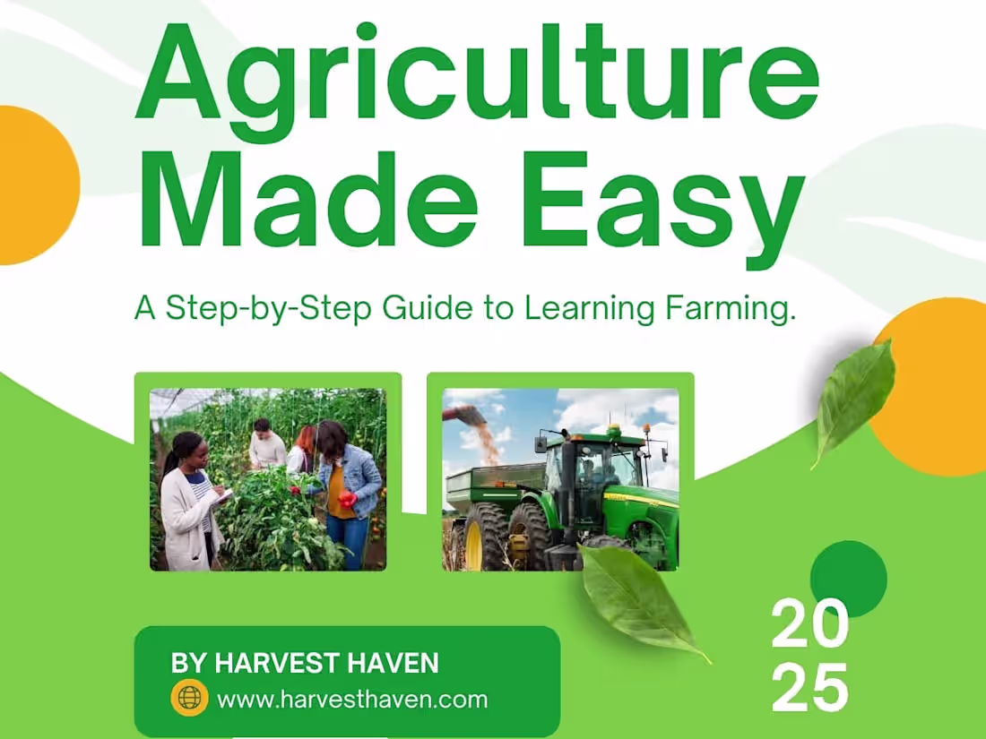 Cover image for Book Ghostwriting & Design