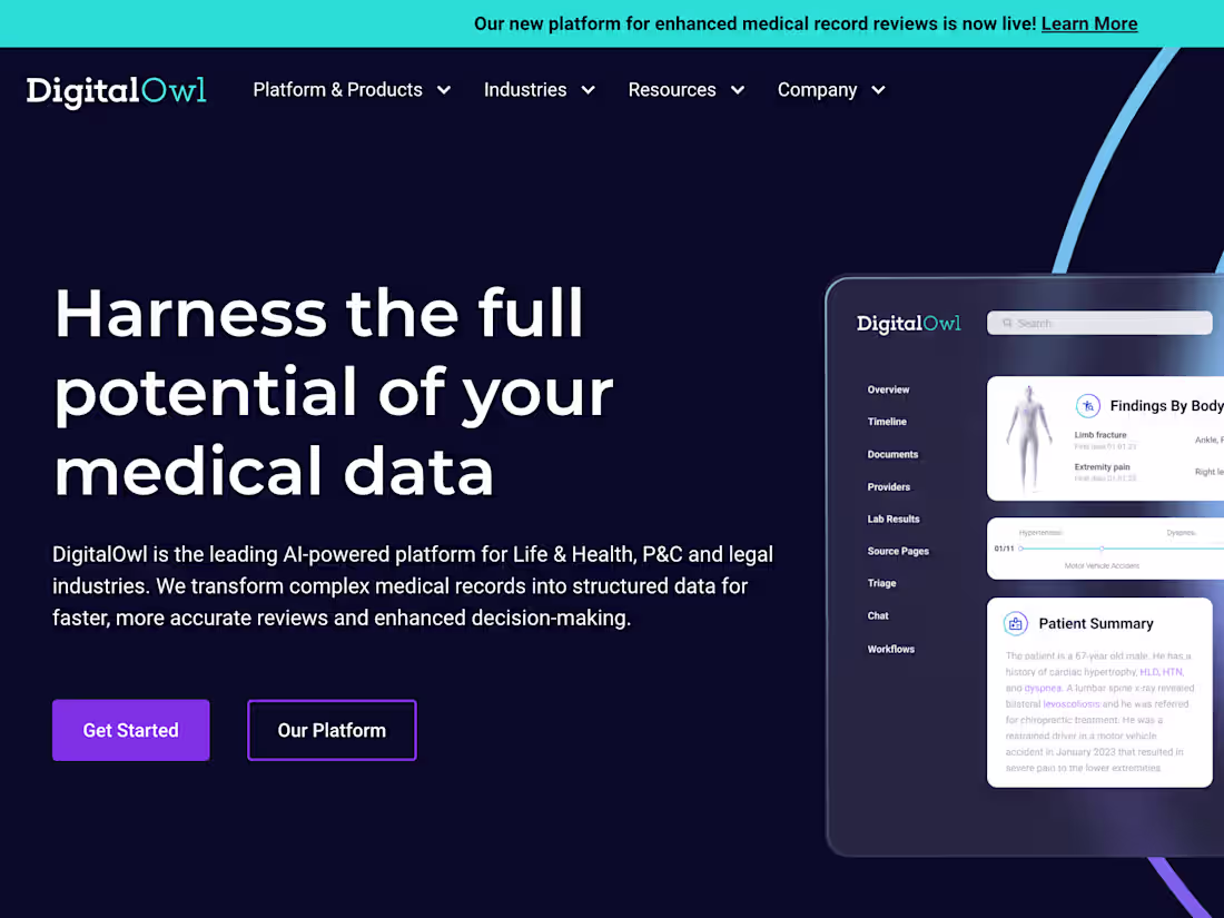 Cover image for Digital Owl