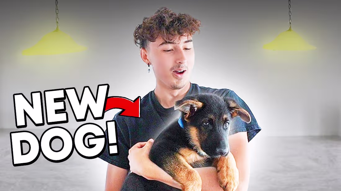 Cover image for We Got a Dog!!! - YouTube