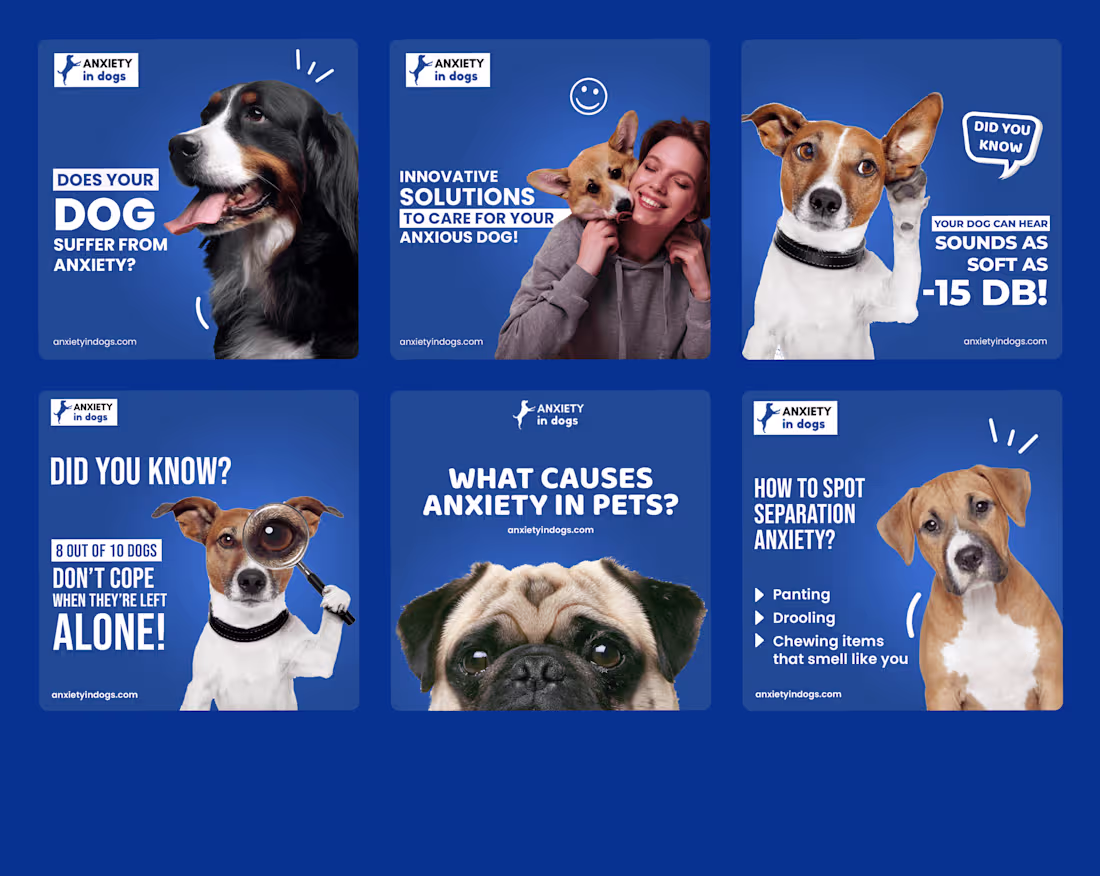 Cover image for SOCIAL MEDIA POST DESIGN | PET CARE | DOGS CARE