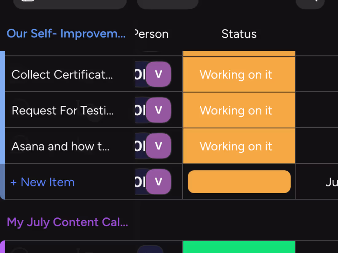 Cover image for Project Manager 