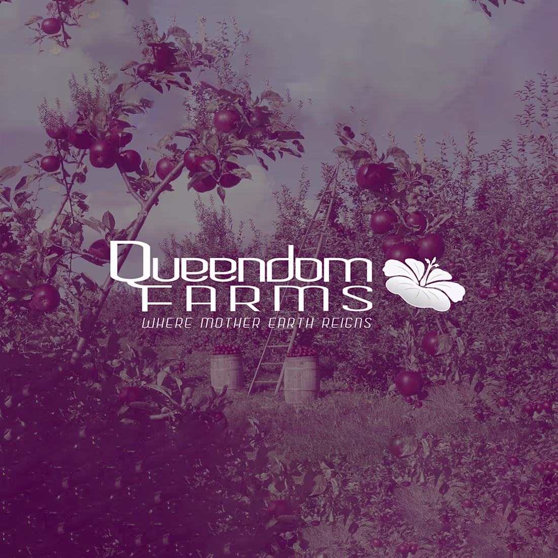 Cover image for Queendom Farms
