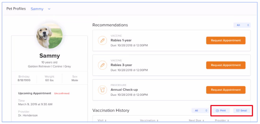Cover image for Pet Nexus Legacy Codebase Modernization and Kubernetes Migration