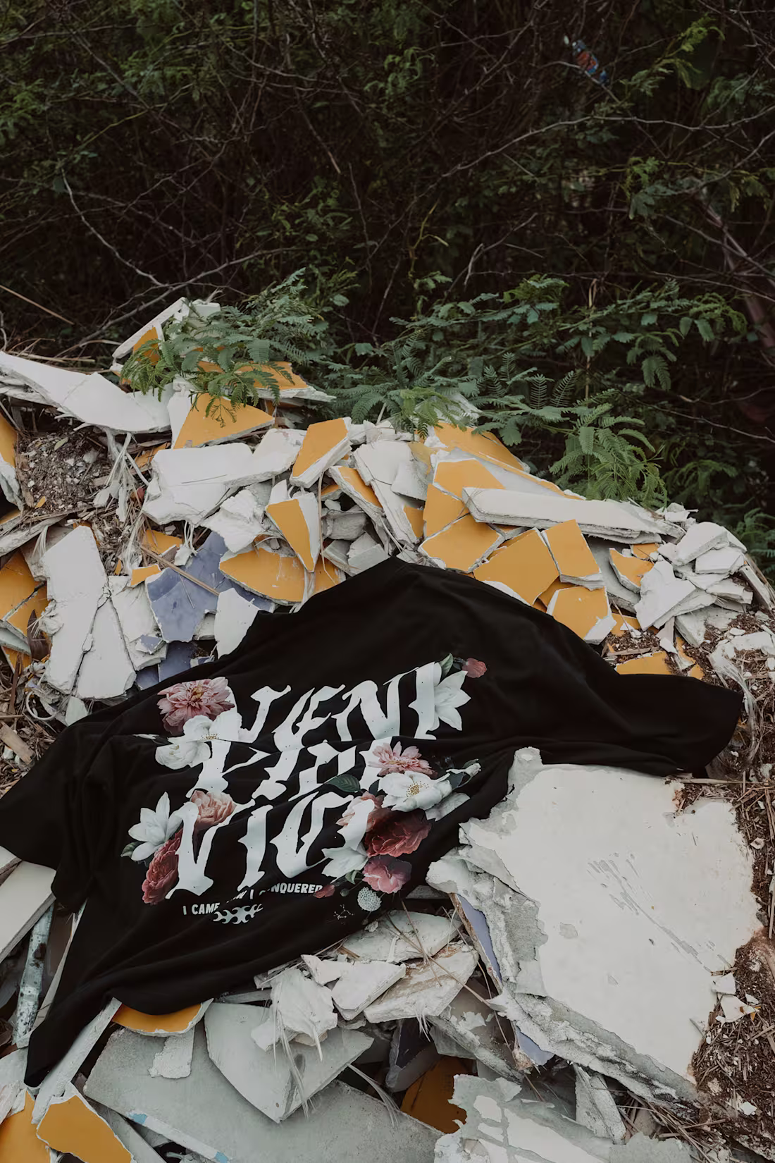 Cover image for Blanxz on Behance