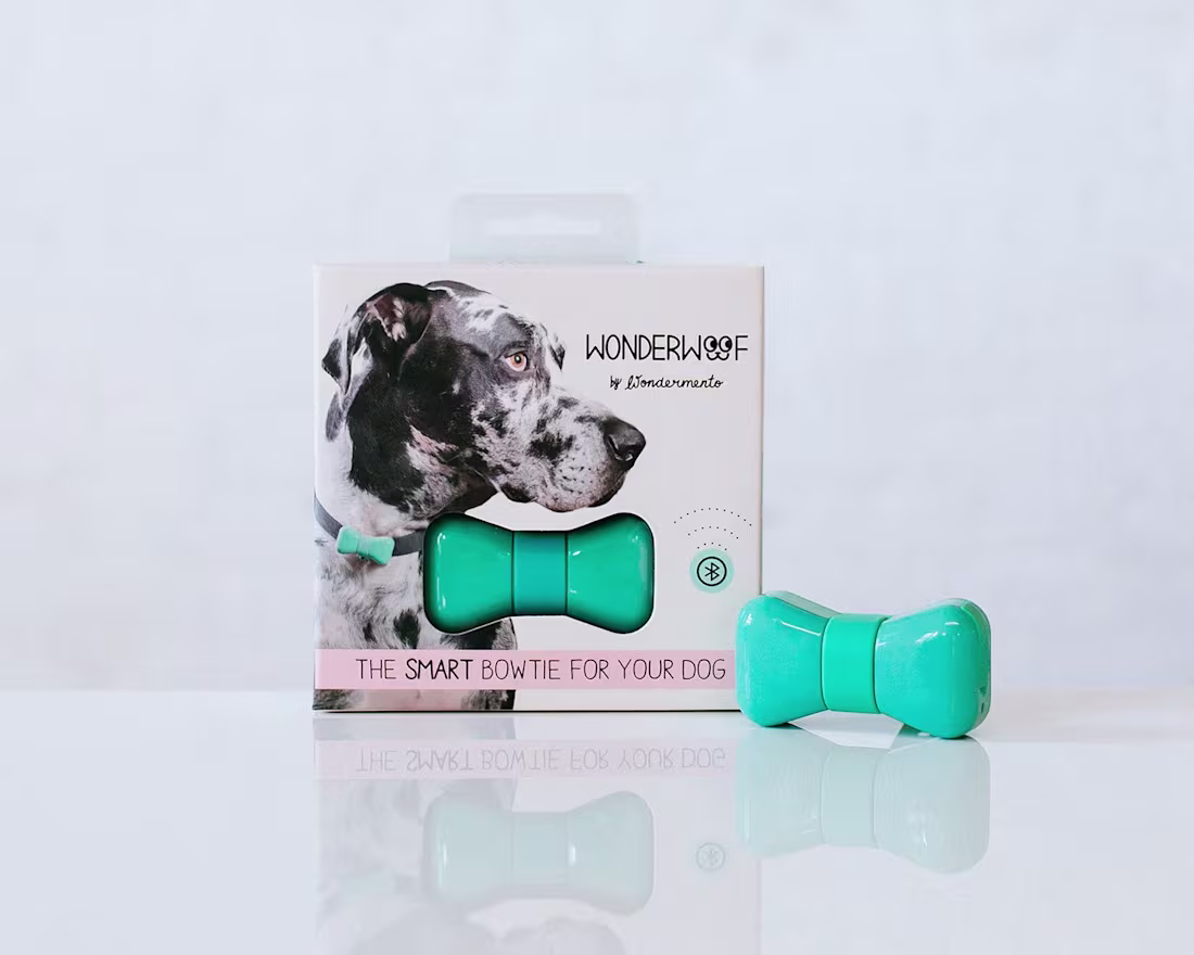 Cover image for Product Photography