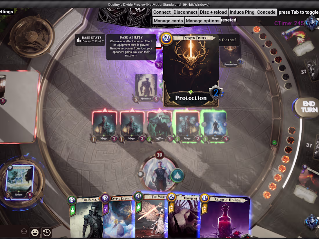 Cover image for Destiny's Divide